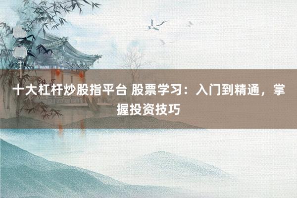 十大杠杆炒股指平台 股票学习：入门到精通，掌握投资技巧