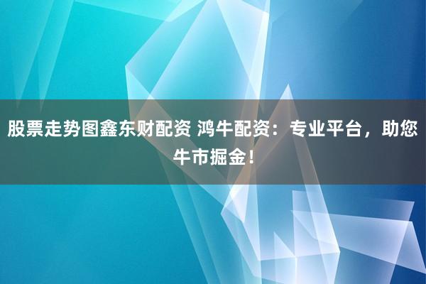 股票走势图鑫东财配资 鸿牛配资：专业平台，助您牛市掘金！