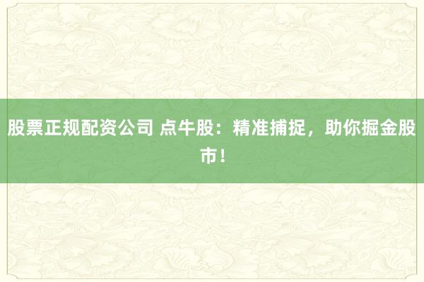 股票正规配资公司 点牛股：精准捕捉，助你掘金股市！