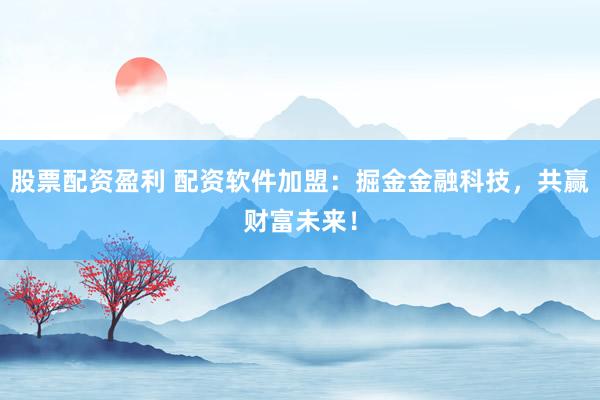 股票配资盈利 配资软件加盟:掘金金融科技,共赢财富未来!