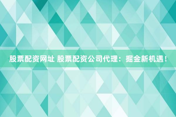 股票配资网址 股票配资公司代理:掘金新机遇!
