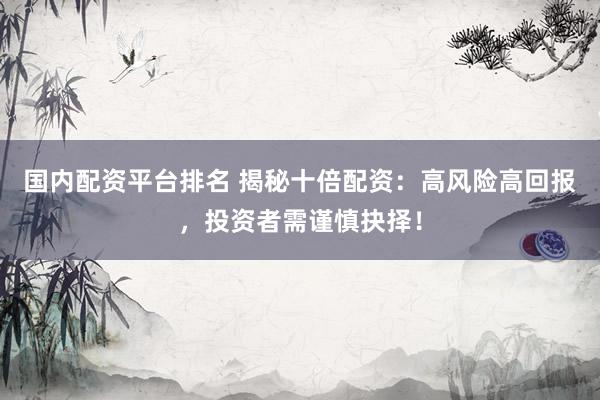 国内配资平台排名 揭秘十倍配资：高风险高回报，投资者需谨慎抉择！