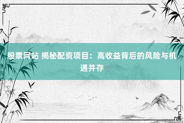 股票网站 揭秘配资项目：高收益背后的风险与机遇并存