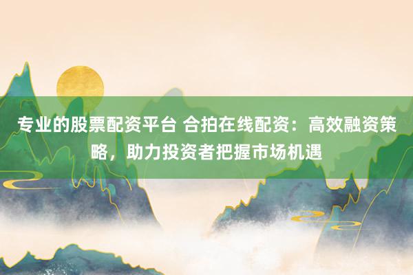 专业的股票配资平台 合拍在线配资：高效融资策略，助力投资者把握市场机遇